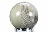 Polished Striped Flint Sphere - Poland #360326-1